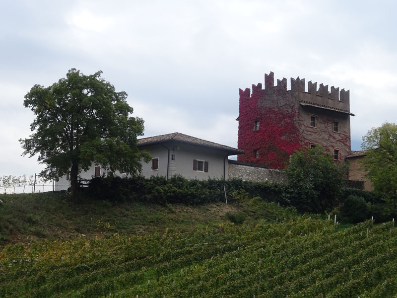 Castelli,Torri e Palazzi.....del Trentino